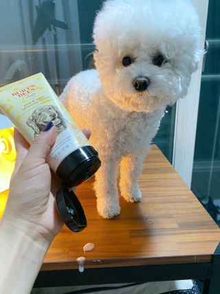 JENNY님이 올린 리뷰 사진 1