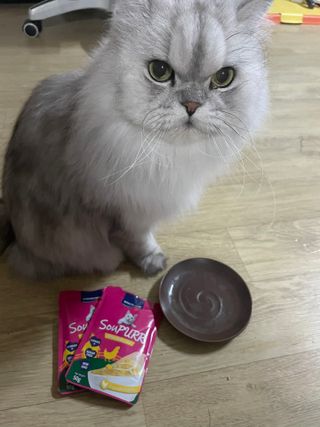 럽S하3님이 올린 리뷰 사진 1
