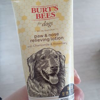스마일뇽뇽님이 올린 리뷰 사진 2