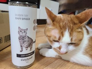 순모님이 올린 리뷰 사진 1