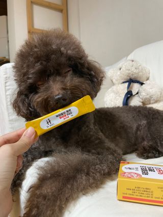 콩지님이 올린 리뷰 사진 4
