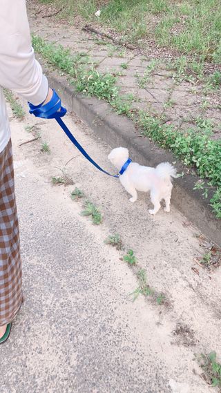 designerjoo님이 올린 리뷰 사진 2