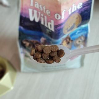썽이mom앙꼬님이 올린 리뷰 사진 3