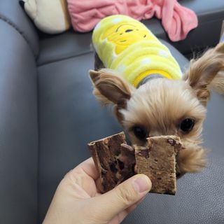 인영님이 올린 리뷰 사진 2