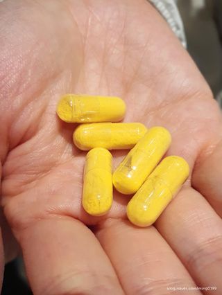 미뇽이님이 올린 리뷰 사진 4