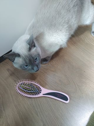 만만이집사님이 올린 리뷰 사진 4