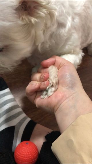 쫑쫑님이 올린 리뷰 사진 4