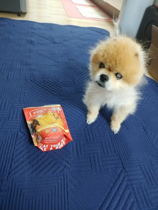우디찡님이 올린 리뷰 사진 4