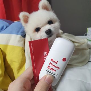 리뷰맨스님이 올린 리뷰 사진 1