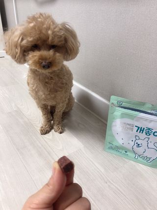 My Pet Care 천연단백질 눈건강에 개좋아 — 4점을 준 리뷰어가 2021년 1월 올린 사용 사진