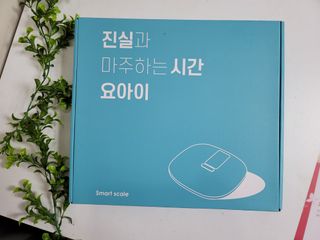 김경옥님이 올린 리뷰 사진 1
