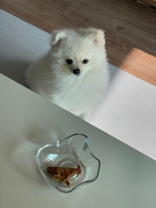 핸감자님이 올린 리뷰 사진 2