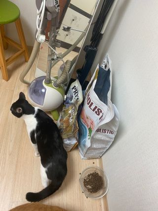 KSJ님이 올린 리뷰 사진 4
