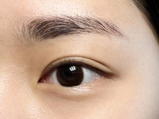 앤365 [ANN365LENS] 저스트 블랙, 초코 2종 중 택일 — 5점을 준 리뷰어가 2021년 11월 올린 사용 사진