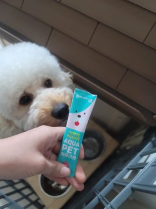 펫시랩 반려견용 액상 프리바이오틱스 아쿠아펫 — 5점을 준 리뷰어가 2021년 1월 올린 사용 사진