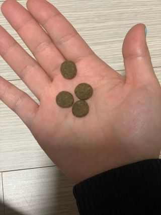스티치님이 올린 리뷰 사진 3