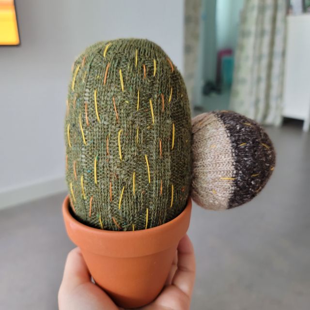 [DIY] 공기정화 선인장 양말인형 리뷰 사진