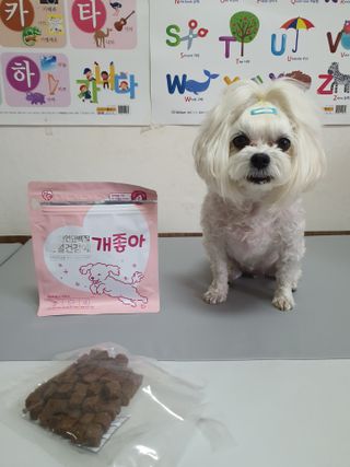 뽀블리님이 올린 리뷰 사진 4