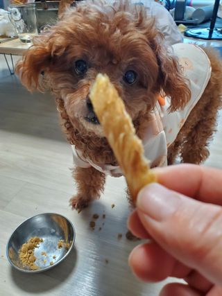 준맘님이 올린 리뷰 사진 1