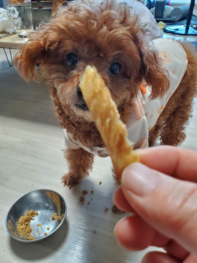 [펫시밀] 원물그대로 강원도 인제군 용대리 무염황태채 60g 강아지 고양이 프리미엄 수제간식 리뷰 사진