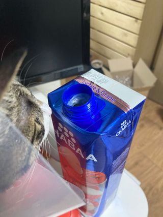 KyoungWonJang님이 올린 리뷰 사진 3