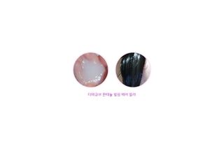 SSong님이 올린 리뷰 사진 4