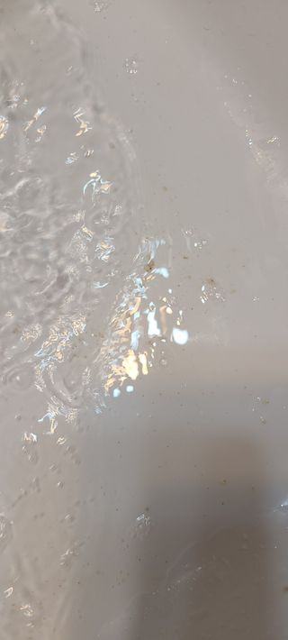 논지님이 올린 리뷰 사진 3