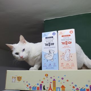 엘보리님이 올린 리뷰 사진 2