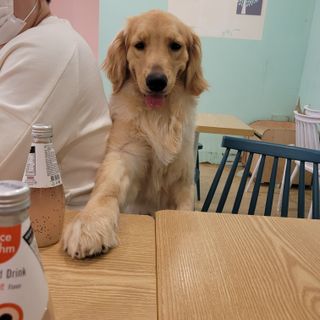 루나님이 올린 리뷰 사진 2