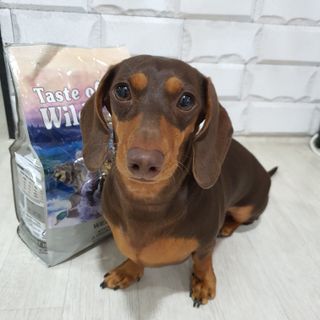 이쁘콩님이 올린 리뷰 사진 1