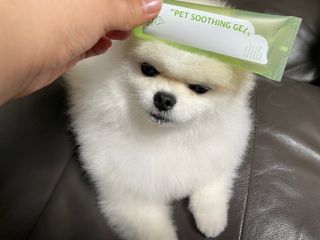 이제트님이 올린 리뷰 사진 2
