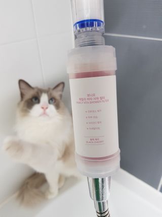 로크찡님이 올린 리뷰 사진 3