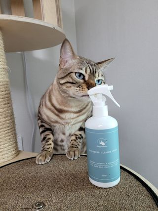 제리망고님이 올린 리뷰 사진 1