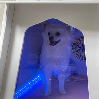 2rem0ng님이 올린 리뷰 사진 3