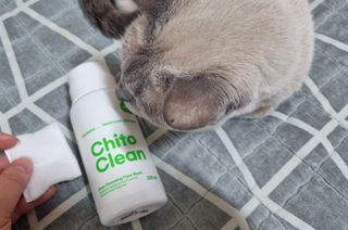 whol 키토클린 200ml - 항균항바이러스 강아지 눈 코 입 귀 세정탈취 고양이 턱드름제거 무향 워터리스 대용량 — 5점을 준 리뷰어가 2022년 9월 올린 사용 사진