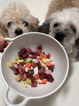 양쏭님이 올린 리뷰 사진 1