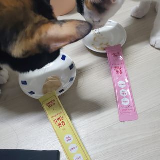 당고경단님이 올린 리뷰 사진 4