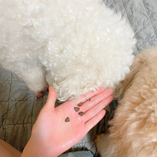 uNisix님이 올린 리뷰 사진 2