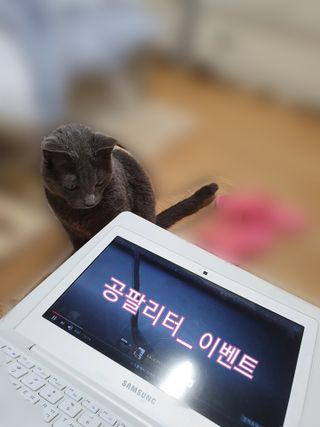 핑키냥이님이 올린 리뷰 사진 3