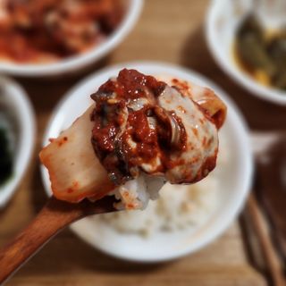 셰프애찬 별미김치 굴겉절이 1kg — 5점을 준 리뷰어가 2022년 12월 올린 사용 사진