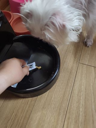 마이쭈님이 올린 리뷰 사진 1