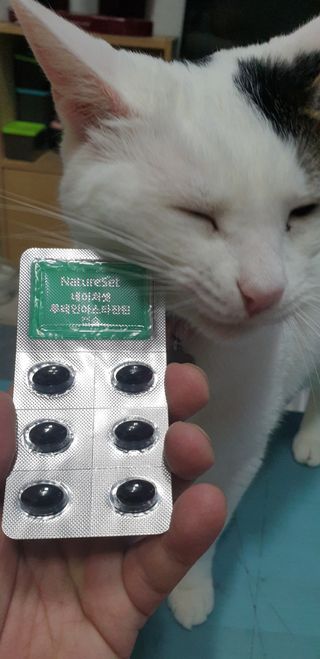 네이처셋 루테인 아스타잔틴 캡슐 1개월분 — 5점을 준 리뷰어가 2021년 7월 올린 사용 사진