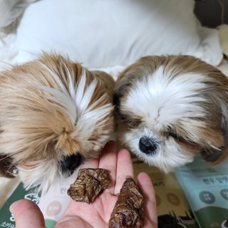 민준맘님이 올린 리뷰 사진 2