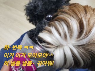 찜여사님이 올린 리뷰 사진 1