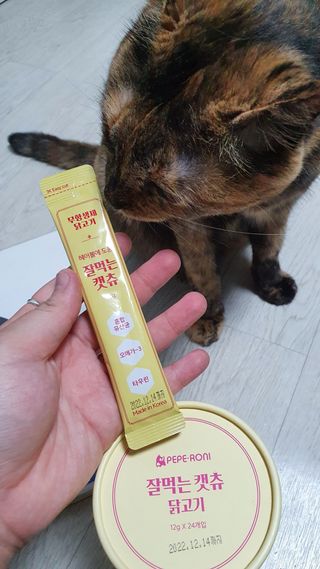 페페로니 잘 먹는 캣츄 - 무항생제 닭고기 24개입 — 5점을 준 리뷰어가 2021년 7월 올린 사용 사진
