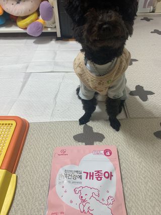 My Pet Care 천연단백질 관절건강에 개좋아 — 2.5점을 준 리뷰어가 2021년 1월 올린 사용 사진