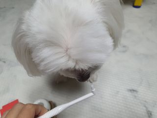 단츄♡님이 올린 리뷰 사진 3