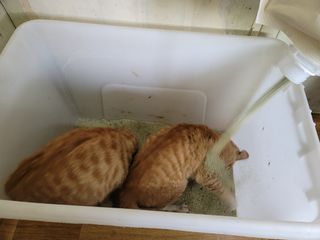 정후맘님이 올린 리뷰 사진 3