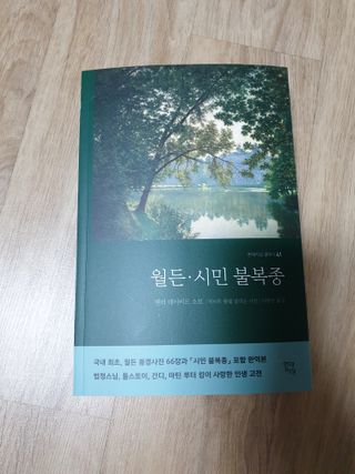 맹고님이 올린 리뷰 사진 1