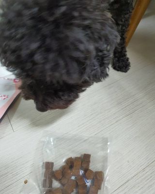 My Pet Care 천연단백질 관절건강에 개좋아 — 5점을 준 리뷰어가 2021년 3월 올린 사용 사진